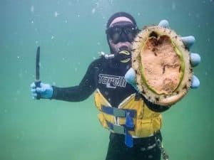 abalone diver